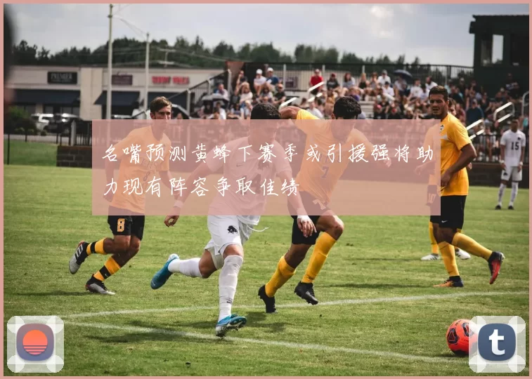 名嘴预测黄蜂下赛季或引援强将助力现有阵容争取佳绩