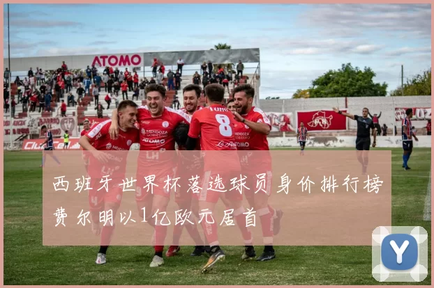 西班牙世界杯落选球员身价排行榜费尔明以1亿欧元居首
